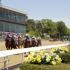 Thoroughbred Racing at Oaklawn Park